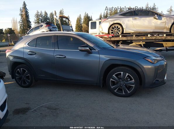 JTHL9JBH4M2048248 2021 LEXUS UX 250H Gray Vista interior de 360 grados