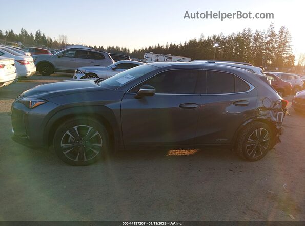 JTHL9JBH4M2048248 2021 LEXUS UX 250H Gray 