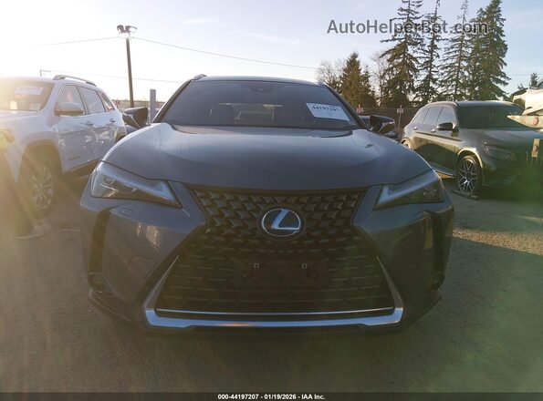 JTHL9JBH4M2048248 2021 LEXUS UX 250H Gray Vista interior trasera