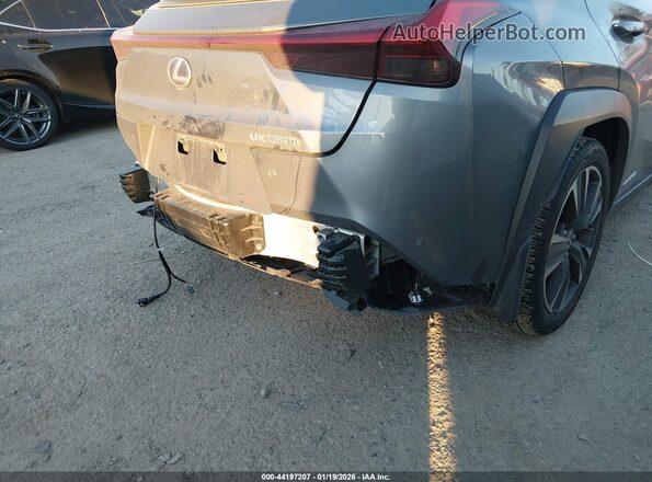 JTHL9JBH4M2048248 2021 LEXUS UX 250H Gray 