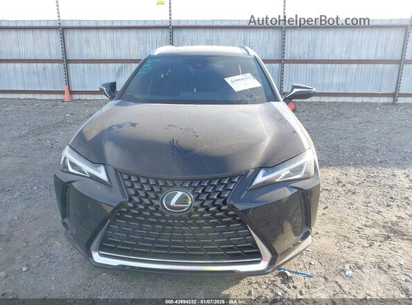 JTHP3JBH7M2037733 2021 LEXUS UX 200 Black Vista del cuadro de instrumentos