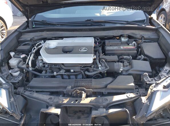 JTHP3JBH8L2023211 2020 LEXUS UX 200 Black Հետևի տեսք