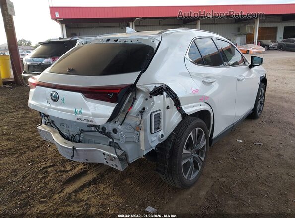 JTHP6JBH9R2189009 2024 LEXUS UX 250H White Задня права чверть