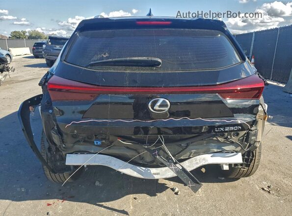 JTHP6JBHXR2168590 2024 LEXUS UX Черный Вид сзади