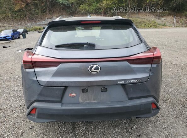 JTHP9JBH0P2068339 2023 LEXUS UX Серебряный Вид сзади