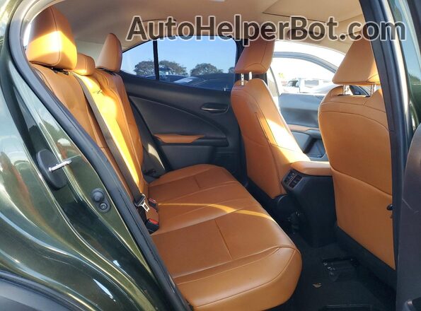 JTHP9JBH2L2021839 2020 LEXUS UX Green Սալոնի հետևի տեսք