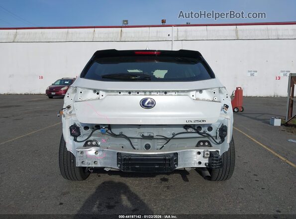 JTHP9JBH3M2052857 2021 LEXUS UX 250H Белый Вид спереди