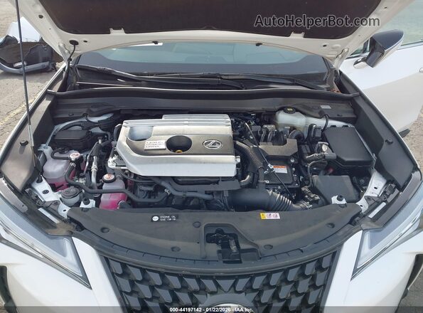 JTHP9JBH3M2052857 2021 LEXUS UX 250H Белый Вид сзади