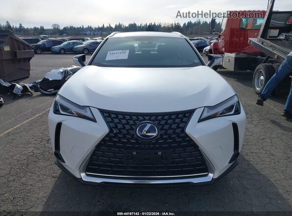 JTHP9JBH3M2052857 2021 LEXUS UX 250H Белый Вид задней части салона