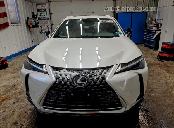 JTHP9JBH4P2070076 2023 LEXUS UX White Вид спереду