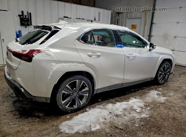 JTHP9JBH4P2070076 2023 LEXUS UX White Задня права чверть
