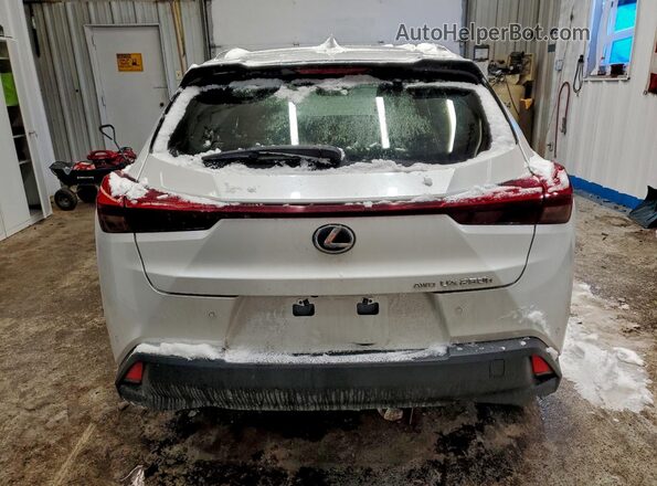 JTHP9JBH4P2070076 2023 LEXUS UX White Вид ззаду