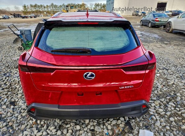 JTHP9JBH6L2028132 2020 LEXUS UX Red Вид ззаду