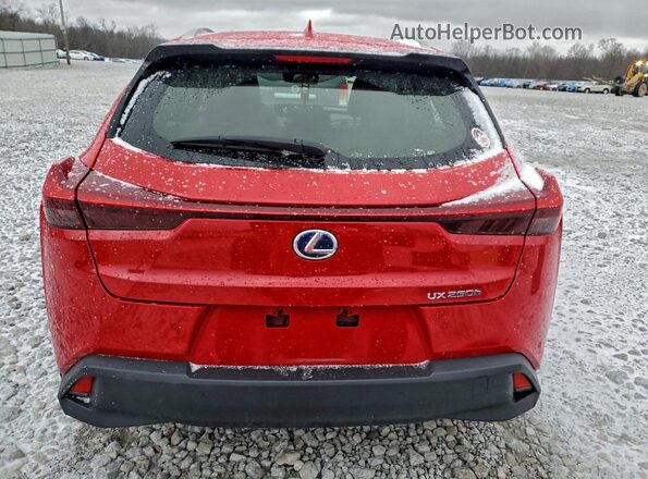 JTHP9JBH9M2049901 2021 LEXUS UX Red 