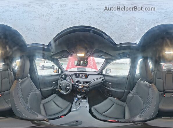 JTHP9JBH9M2049901 2021 LEXUS UX Red 
