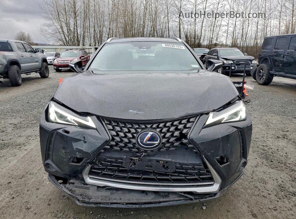 JTHP9JBH9N2055716 2022 LEXUS UX Black Вид спереду