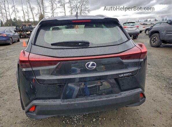 JTHP9JBH9N2055716 2022 LEXUS UX Black Вид ззаду