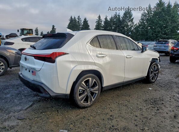 JTHP9JBH9R2080556 2024 LEXUS UX White Задня права чверть