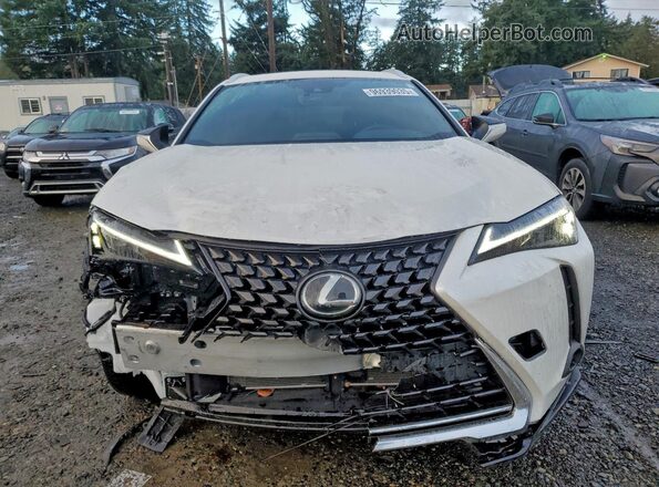 JTHP9JBH9R2080556 2024 LEXUS UX White Вид спереду