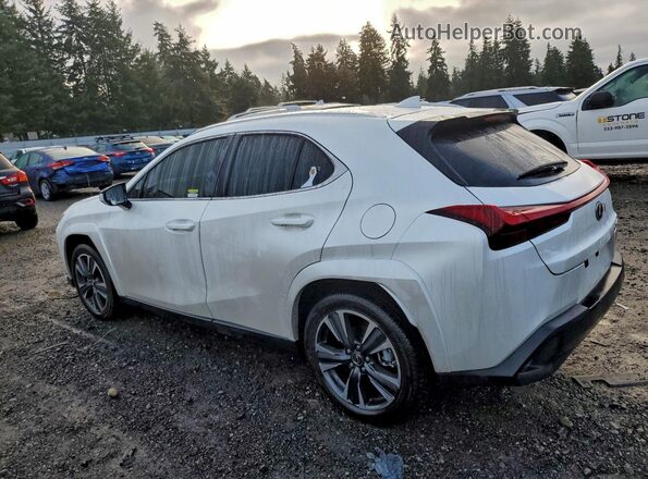 JTHP9JBH9R2080556 2024 LEXUS UX White Задня ліва чверть