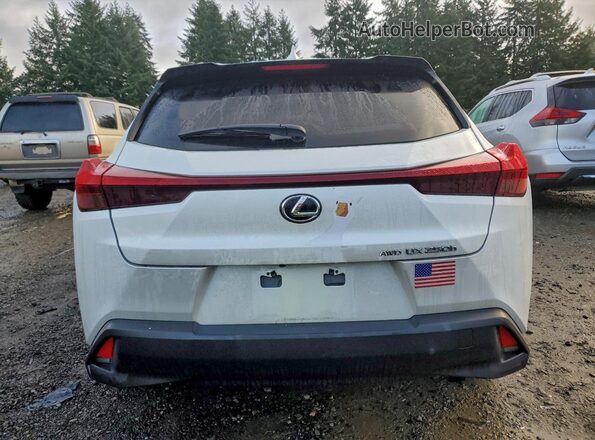 JTHP9JBH9R2080556 2024 LEXUS UX White Вид ззаду