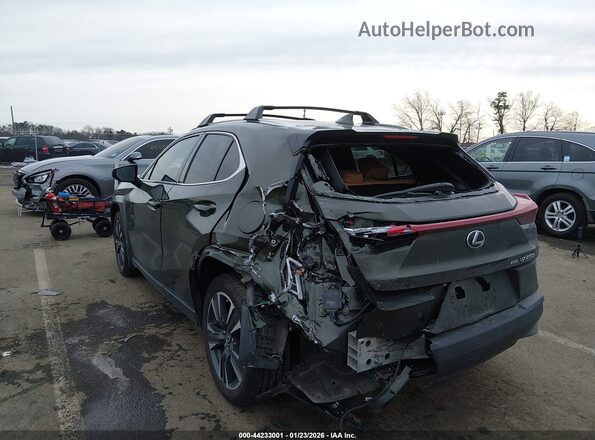 JTHP9JBHXP2066792 2023 LEXUS UX 250H Green Задня ліва чверть