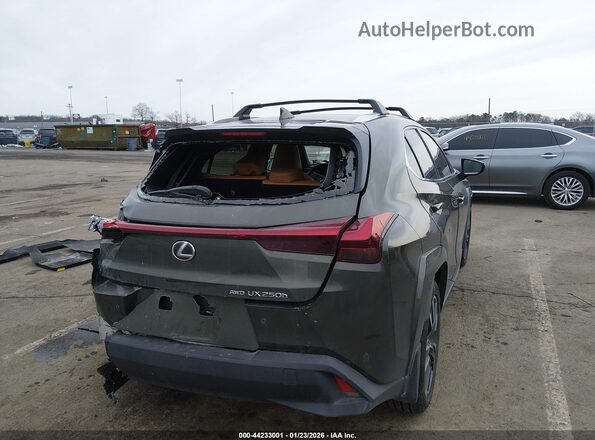 JTHP9JBHXP2066792 2023 LEXUS UX 250H Green Задня права чверть