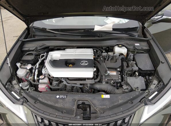 JTHP9JBHXP2066792 2023 LEXUS UX 250H Green Вид ззаду