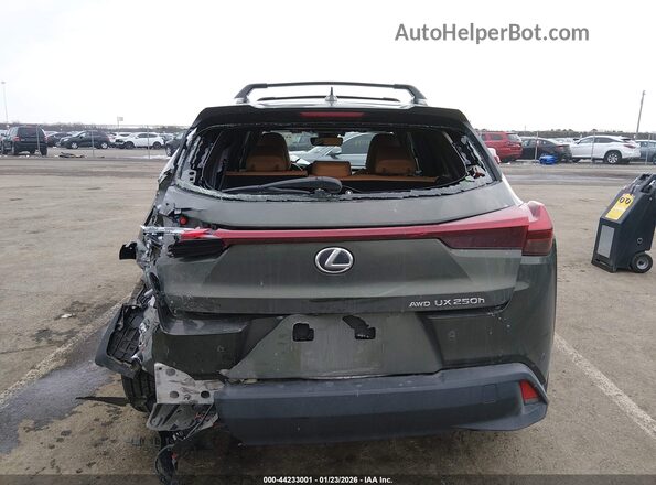 JTHP9JBHXP2066792 2023 LEXUS UX 250H Green Вид спереду