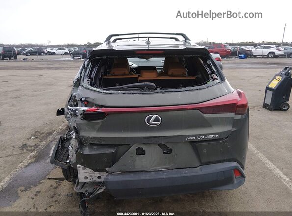 JTHP9JBHXP2066792 2023 LEXUS UX 250H Green 