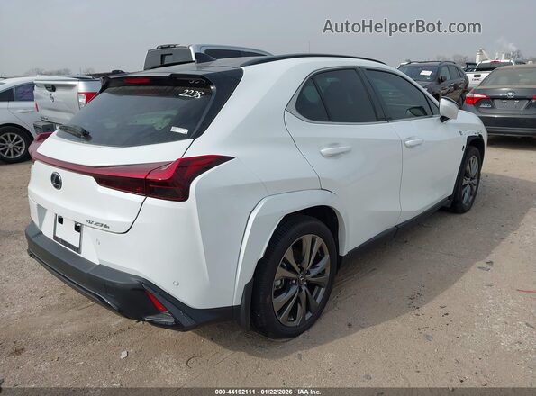 JTHR6JBH2R2191239 2024 LEXUS UX 250H White უკანა მარჯვენა