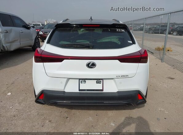 JTHR6JBH2R2191239 2024 LEXUS UX 250H White 