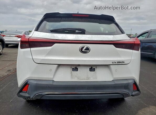 JTHR6JBH4R2163703 2024 LEXUS UX White Widok z tyłu