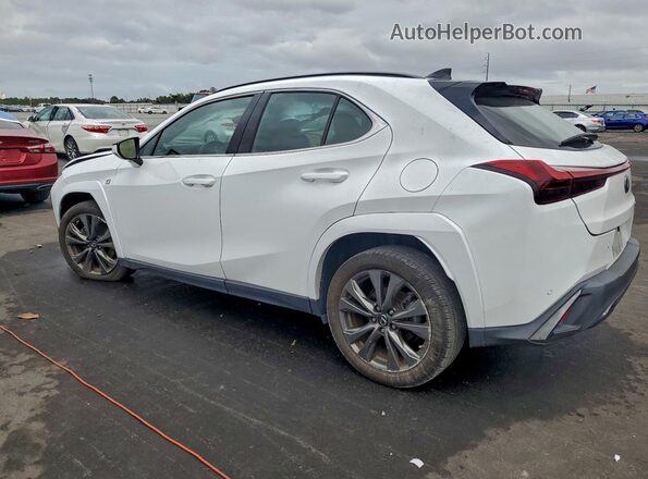 JTHR6JBH4R2163703 2024 LEXUS UX White Tył lewy