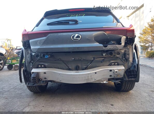 JTHR6JBH5R2189887 2024 LEXUS UX 250H Gray Вид спереду