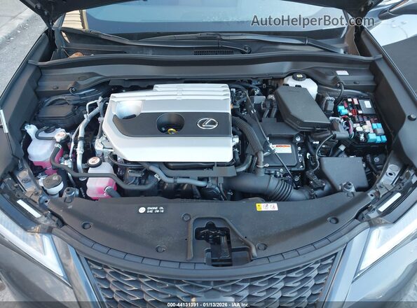 JTHR6JBH5R2189887 2024 LEXUS UX 250H Gray Вид ззаду