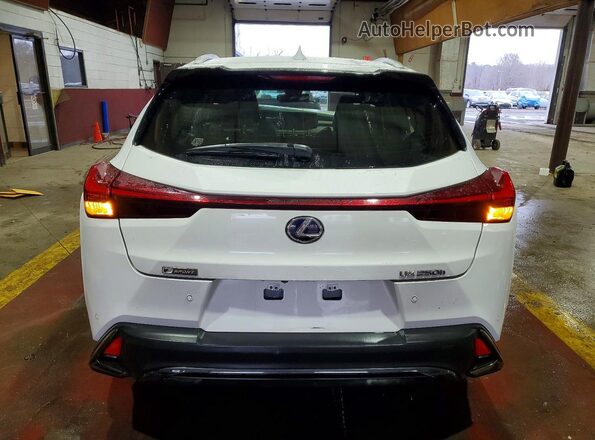 JTHR9JBH1M2052932 2021 LEXUS UX White უკანა ხედი