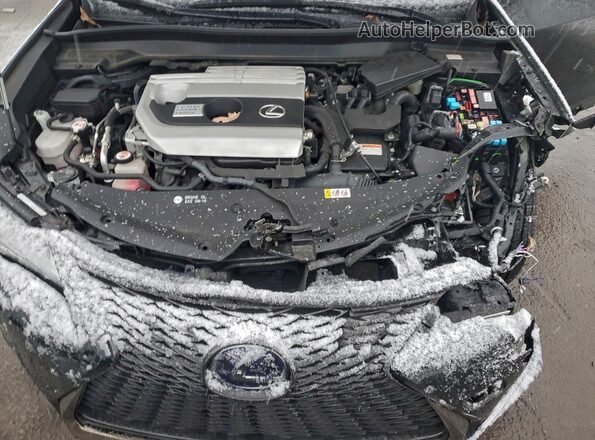 JTHR9JBH3L2032423 2020 LEXUS UX Black Շարժիչի բաժամունքի տեսք