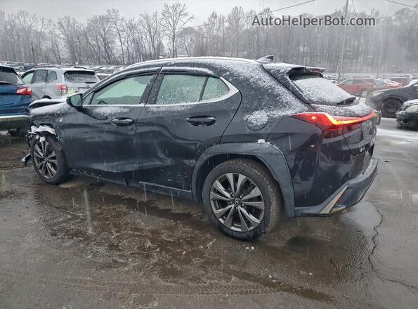 JTHR9JBH3L2032423 2020 LEXUS UX Black Հետևի ձախ