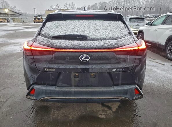 JTHR9JBH3L2032423 2020 LEXUS UX Black Հետևի տեսք