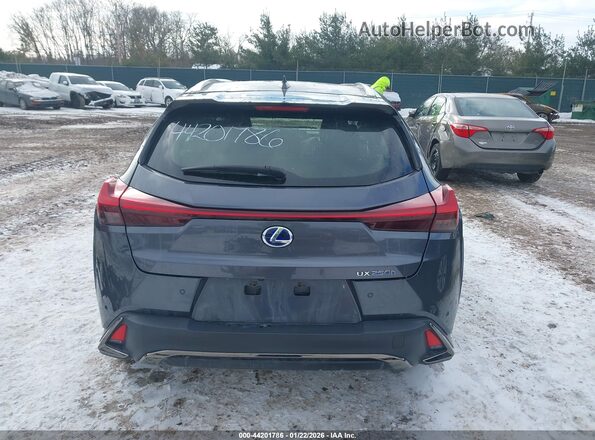 JTHR9JBH8N2059782 2022 LEXUS UX 250H Gray 