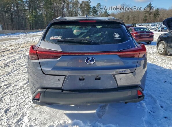 JTHU9JBH1K2012406 2019 LEXUS UX Gray Vista trasera