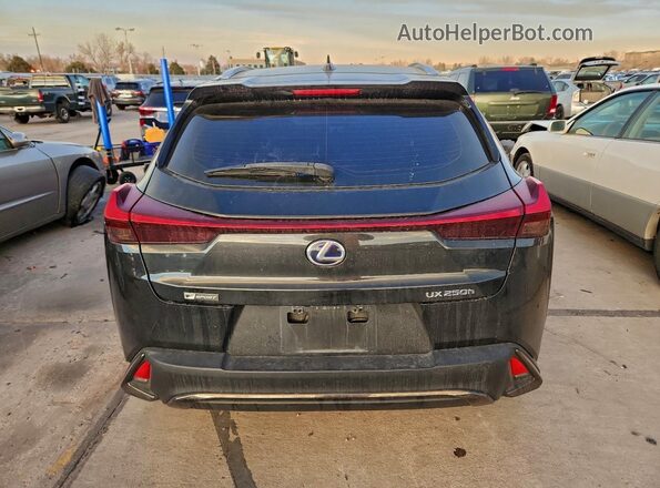 JTHU9JBH1K2012762 2019 LEXUS UX Black Rear view