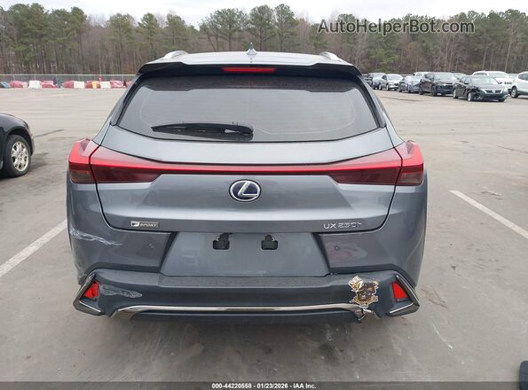 JTHU9JBH4K2002601 2019 LEXUS UX 250H Gray 