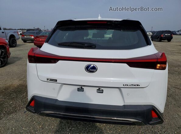 JTHU9JBH6K2011395 2019 LEXUS UX White Rear view