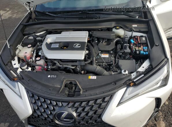 JTHU9JBH6K2012479 2019 LEXUS UX White Սալոնի հետևի տեսք