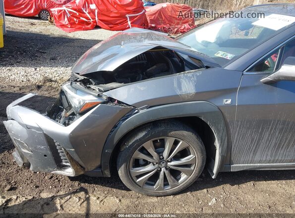 JTHU9JBH9K2000696 2019 LEXUS UX 250H Pewter Vista frontal