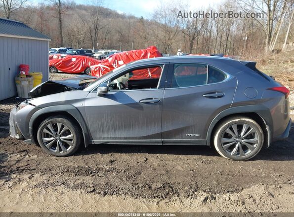 JTHU9JBH9K2000696 2019 LEXUS UX 250H Pewter Vista interior de 360 grados