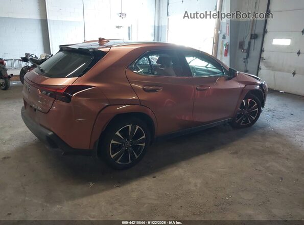 JTHUCJDH6S2003408 2025 LEXUS UX Brown უკანა მარჯვენა