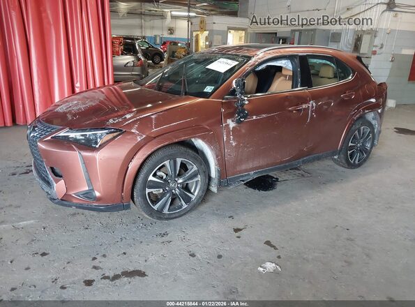 JTHUCJDH6S2003408 2025 LEXUS UX Brown წინა მარცხენა ხედი სამი მეოთხედიდან